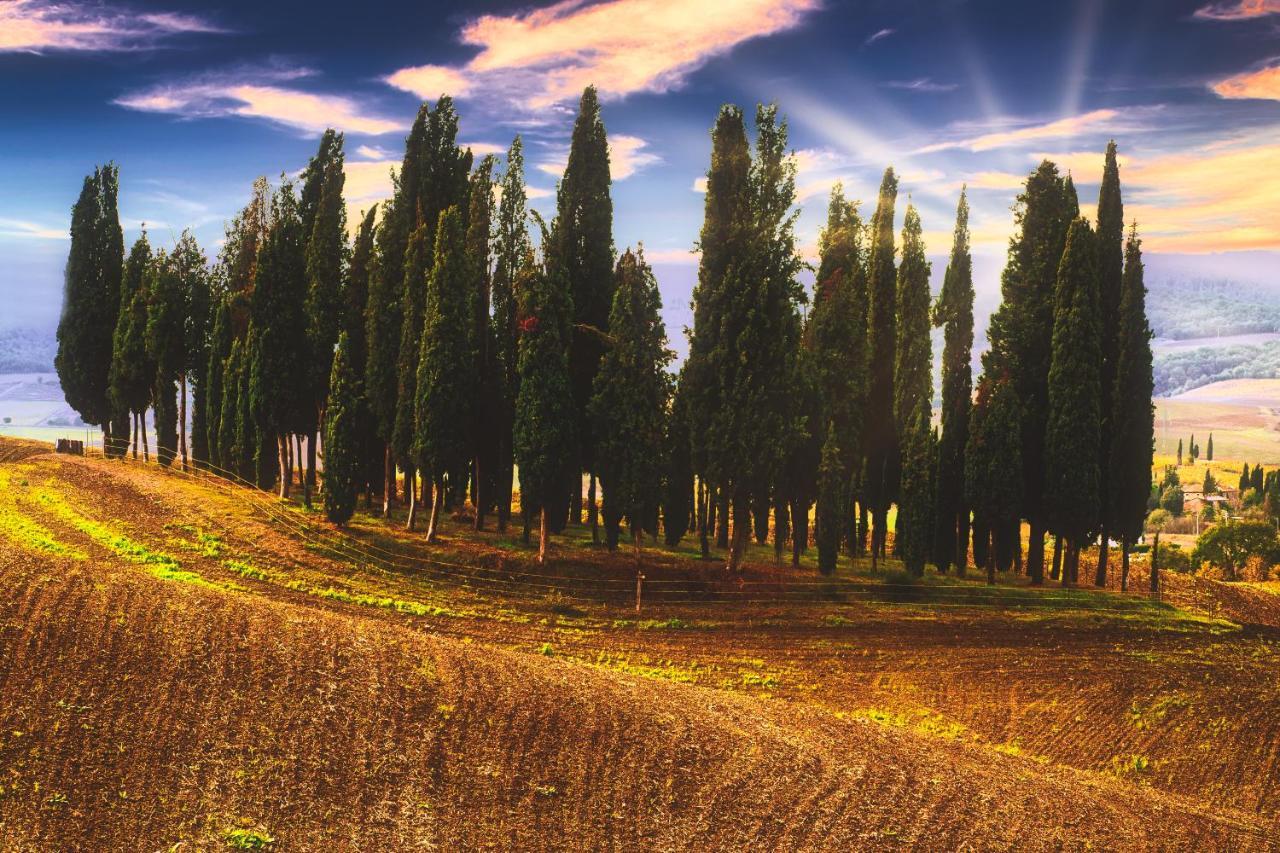 Podere Pietreta Радикофани Экстерьер фото